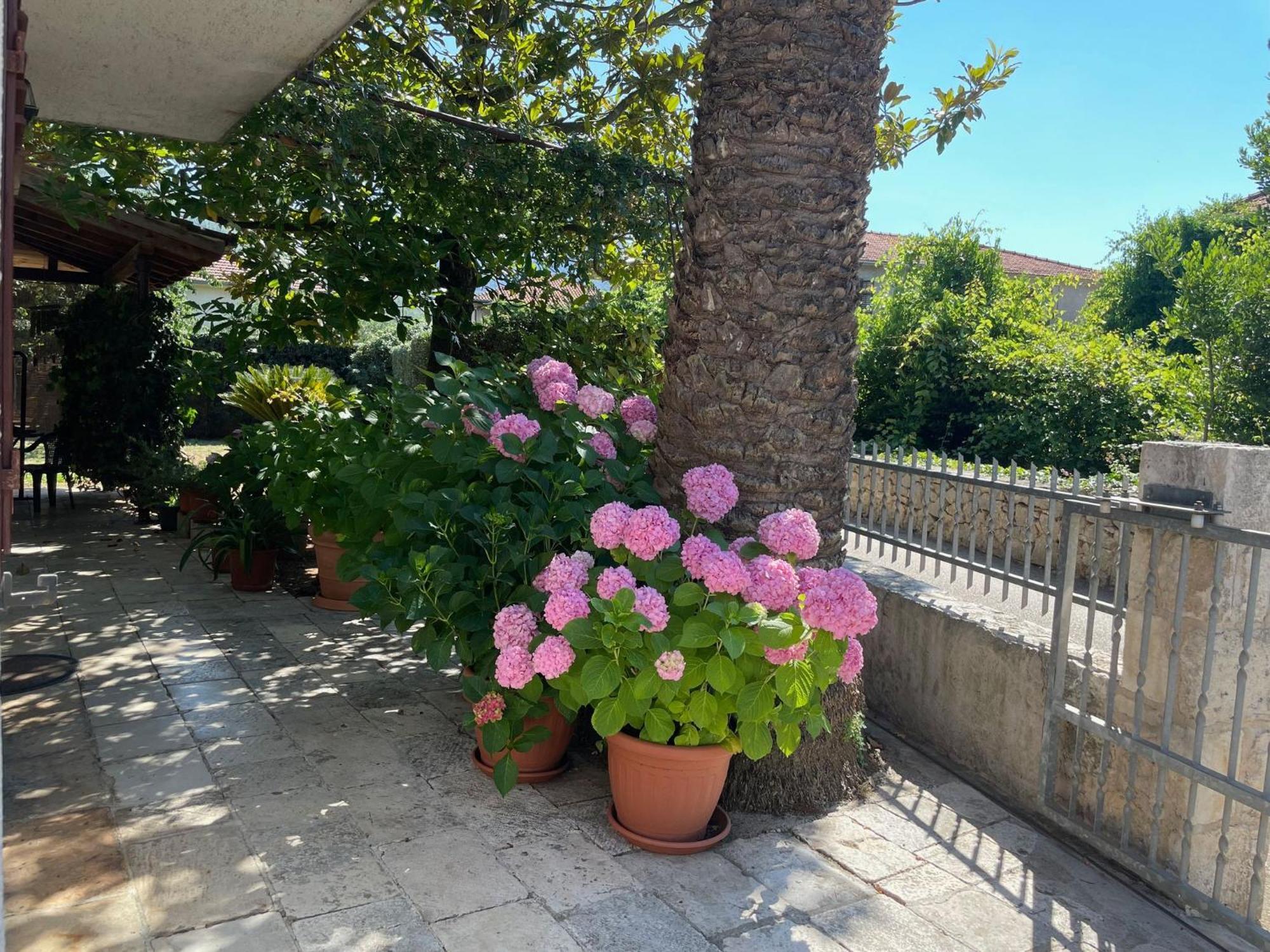 Hvar Guesthouse - Double Bedroom With Private Bathroom Jelsa  Εξωτερικό φωτογραφία